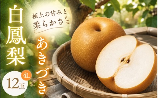 
                  梨 あきづき《三重の白鳳梨》【季節限定】白鳳梨(あきづき)4L 12玉 ※お届けは9月上旬から9月中旬頃の予定です/強い甘みとシャキッとした食感！たっぷりの果汁 梨 なし あきづき梨 あきづき あきづきなし 果物 フルーツ 新鮮 おすすめ みずみずしい 味覚 旬 水分 甘み fruit nasi 果肉 果汁 4L 12玉 ブランド梨 白鳳梨 伊賀産 三重県 伊賀市【hkns0002】
                