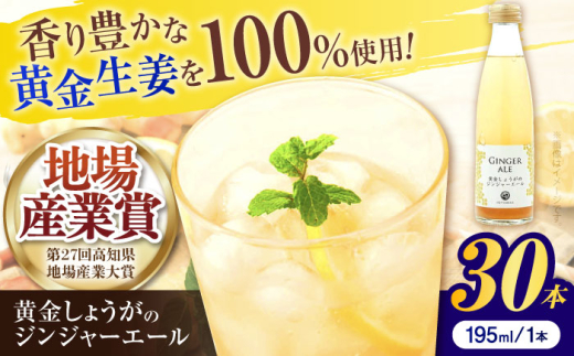 黄金しょうがのジンジャーエール30本 / 土佐生姜 生姜 スパークリング ジンジャーエール 炭酸飲料 飲料 ジュース 炭酸 ドリンク ソフトドリンク ビン 瓶 爽やか【はるのTERRACE】 [ATAV003]