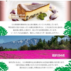 【 2026年 3月より発送開始】東北最大級のガーデニング専門店 厳選 『季節の寄せ植え』 4種類 ～ 6種類 【花工房らら倶楽部】 花 生花 フラワー 植物 観葉植物 寄せ植え 季節 鉢植え 鉢 ポ