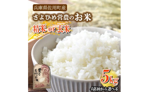 
                  【兵庫県佐用町産】さよひめ営農のお米 5kg 4銘柄から選べる 精米/玄米 てんこもり キヌムスメ キヌヒカリ コシヒカリ
                