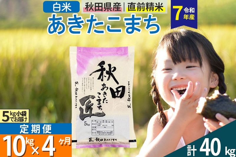 【白米】＜令和7年産＞ 《定期便4ヶ月》秋田県産 あきたこまち 匠 10kg (5kg×2袋)×4回 10キロ お米 |02_snk-010604s
