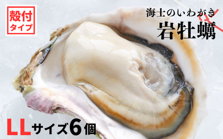 【のし付き 海士のいわがき】殻付き LLサイズ 6個 岩牡蠣 生食可 新鮮クリーミー 冷凍 牡蛎 牡蠣 かき カキ 岩牡蠣 いわがき CAS CAS冷凍 父の日 母の日 バーベキュー ギフト