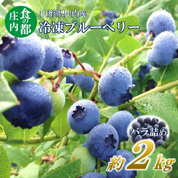 【ふるさと納税】【先行予約】食の都庄内【令和7年産】庄内産冷凍ブルーベリー（バラ詰め約2kg）※令和7年8月頃より順次配送予定（庄内たがわ農業協同組合）