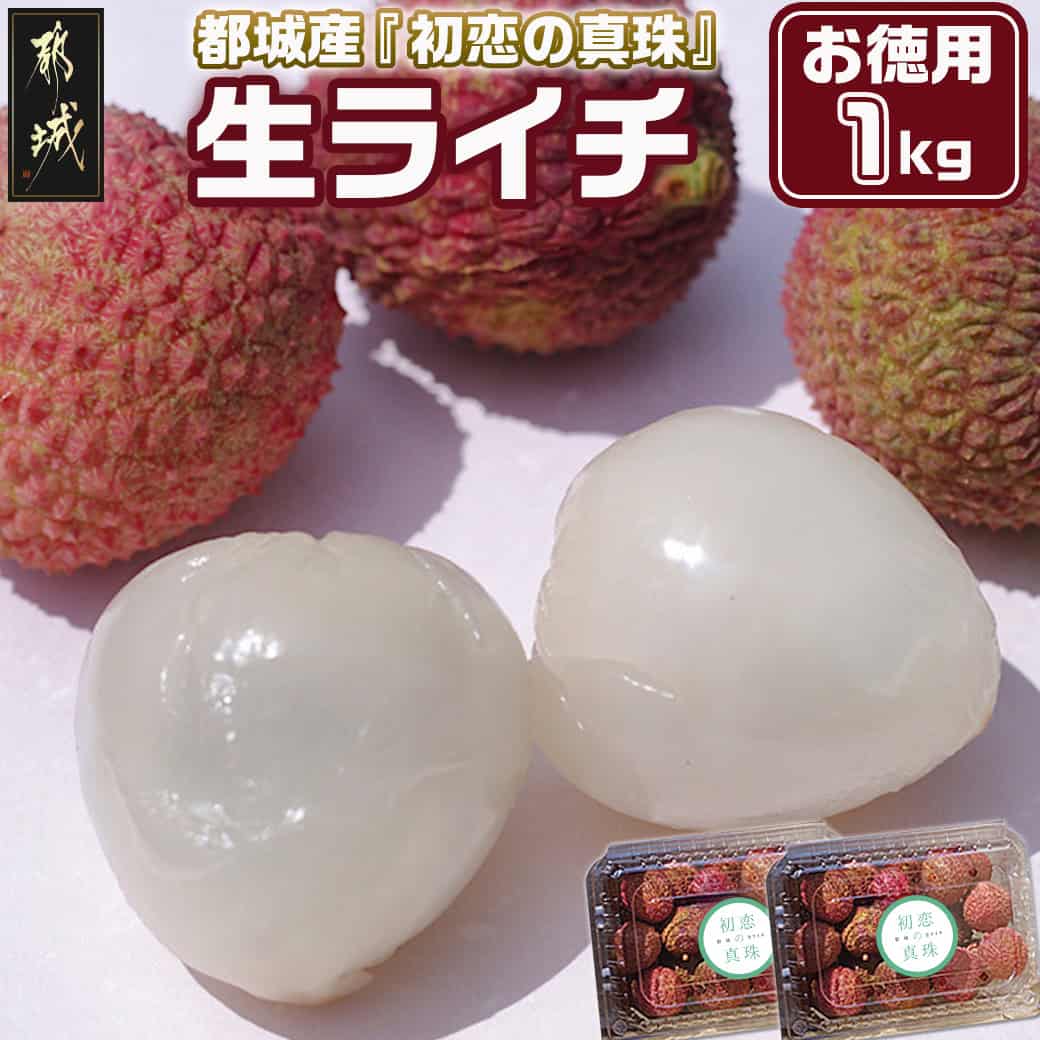 【ふるさと納税】都城産生ライチ『初恋の真珠』お徳用1kgパック - ライチ 生ライチ 6月下旬〜7月中旬頃お届け 小ぶり 果物 フルーツ 宮崎県産(都城産) 産地直送 冷蔵 送料無料 AD-F504【宮崎県都城市は2年連続ふるさと納税日本一！】