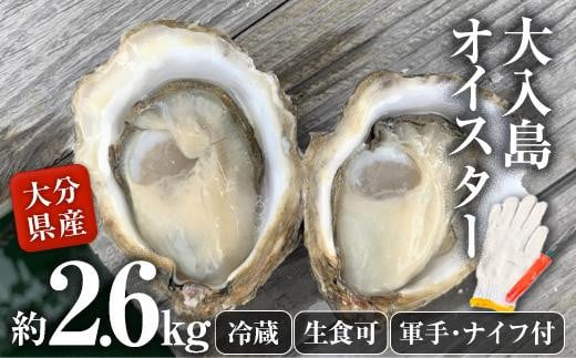 真ガキ 大入島オイスター (約2.6kg) 牡蠣 カキ 貝 海鮮 魚介類 冷蔵 生食可 シングルシード 養殖 大分県 佐伯市【ED09】【(合)新栄丸】