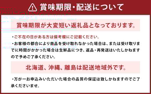 長崎 高級ハウスびわ 500g 化粧箱入り