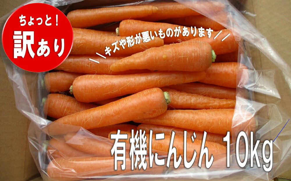 【ふるさと納税】訳あり 有機 にんじん 10kg 先行予約 有機栽培 人参 ニンジン キャロット