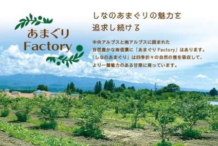 「あまぐり和紅茶 美栗 MIKURI」2.5g×20包入