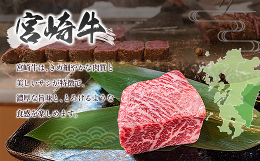 宮崎牛 × 宮崎県産豚 ステーキ食べ比べ 合計1.2kgセット［宮崎牛モモステーキ 400g ＆ 県産豚大判ロース 800g］小分け 冷凍 バラエティ 個包装 ※ご入金月の翌月中に出荷【C458】