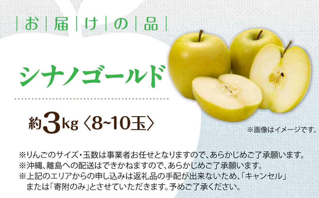 【先行予約】＜2026年11月上旬よりお届け＞北海道壮瞥町　りんご　品種名「シナノゴールド」8～10玉約3kg SBTF020
