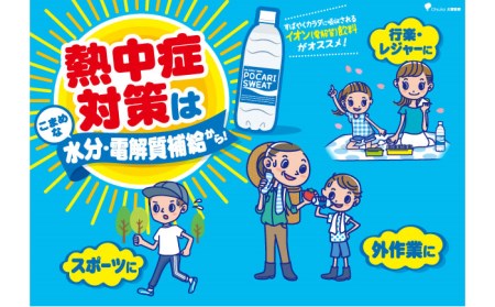 ＜3回定期便＞ 500ml×24本 900ml×12本セット ポカリスエット 大塚製薬 飲料 ぽかり[FBD018]