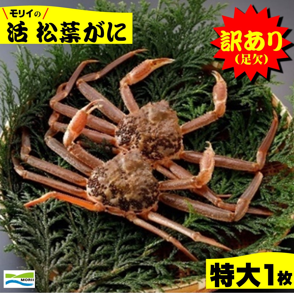 
            鳥取県産　訳あり（足欠け）活松葉がに（特大1枚）
          