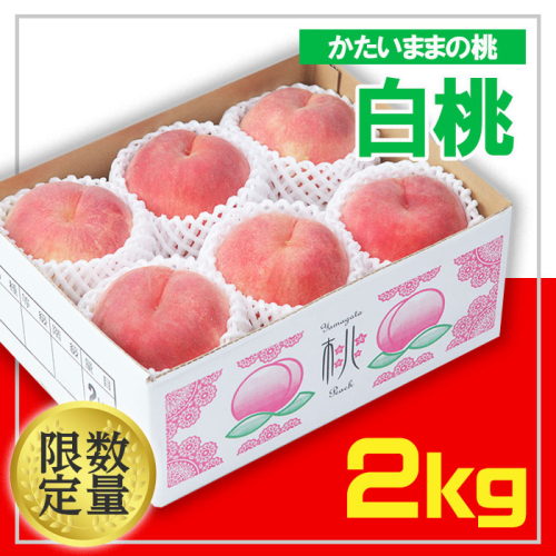 ☆フルーツ王国山形☆白桃 秀品 2kg(かたいままの桃) FS24-684