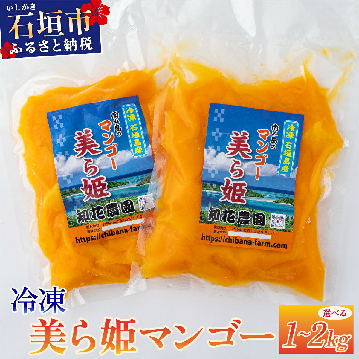 【ふるさと納税】【選べる容量】冷凍美ら姫マンゴー 1〜2kg | ふるさと納税 マンゴー 完熟 冷蔵 フルーツ 果物 沖縄県 石垣市 石垣島 産地直送 ふるさと 人気 送料無料 CB-3 CB-4