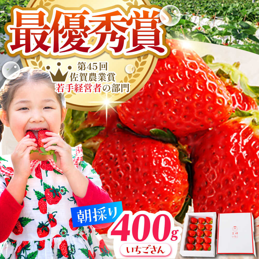 【ふるさと納税】【先行予約】【1〜2月発送】王様のいちご いちごさん 400g 1箱 【むらおか農園】 [HAF013]/ いちご 苺 佐賀 いちごさん ブランド 果物