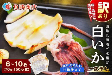 【訳アリ】白いか一夜干し （70g～150gｘ6～10枚） 訳アリ 小分け いか 白いか 個包装 一夜干し 産地直送 おつまみ【136_1984】