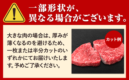 くまもと黒毛和牛 サーロインステーキ 500g ( 250g x 2枚 )《30日以内に出荷予定(土日祝除く)》 