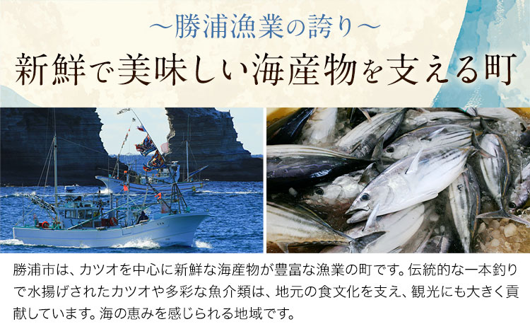 勝浦市産 カツオの握り寿司 16貫（4貫×4パック）《30日以内に出荷予定(土日祝除く)》千葉県 勝浦市 海産物 カツオ 鰹 寿司 すし 魚 海鮮---kastuura_cpfd_5---