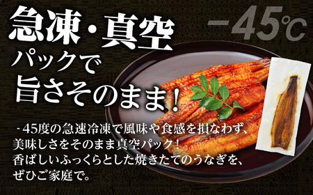 国産うなぎ & 牛肉トロ セット うなぎ 肉トロ 訳あり 蒲焼 2尾 牛トロ 3パック ウナギ 鰻 蒲焼き 土用丑の日 丑の日 簡単調理 惣菜 おつまみ 牛フレーク 生肉 生食用 生食 レア unag