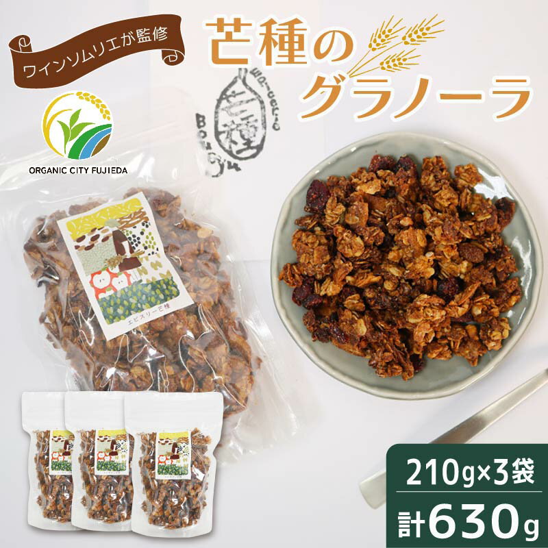 【ふるさと納税】 グラノーラ 手作り 210g×3個 計630g 国産 オーガニック 有機 ドライフルーツ フルーツ ナッツ ワイン おつまみ 果物 レーズン くるみ 朝食 シリアル 健康 美容 低カロリー 食物繊維 朝ごはん おやつ ギフト プレゼント 贈り物 藤枝市 静岡県