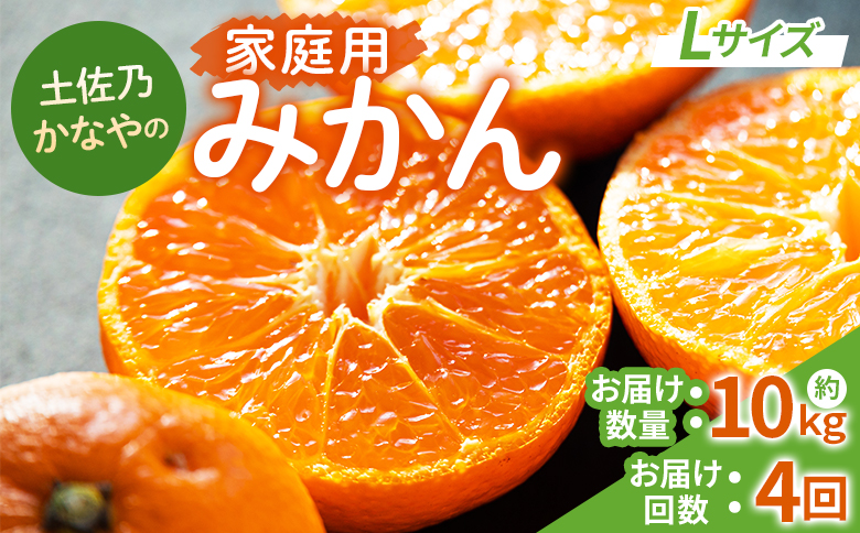 みかん 定期便 4回 土佐乃かなやの家庭用みかん10kg(Lサイズ)×4回 合計40kg - 定期便 数量 国産 早生みかん 極早生みかん グリーンみかん 蜜柑 ミカン 柑橘 果物 Wbe-0124