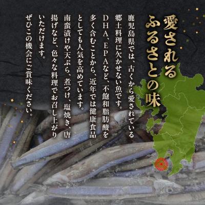 ふるさと納税 南九州市 鹿児島県産キビナゴ1kg |  | 02