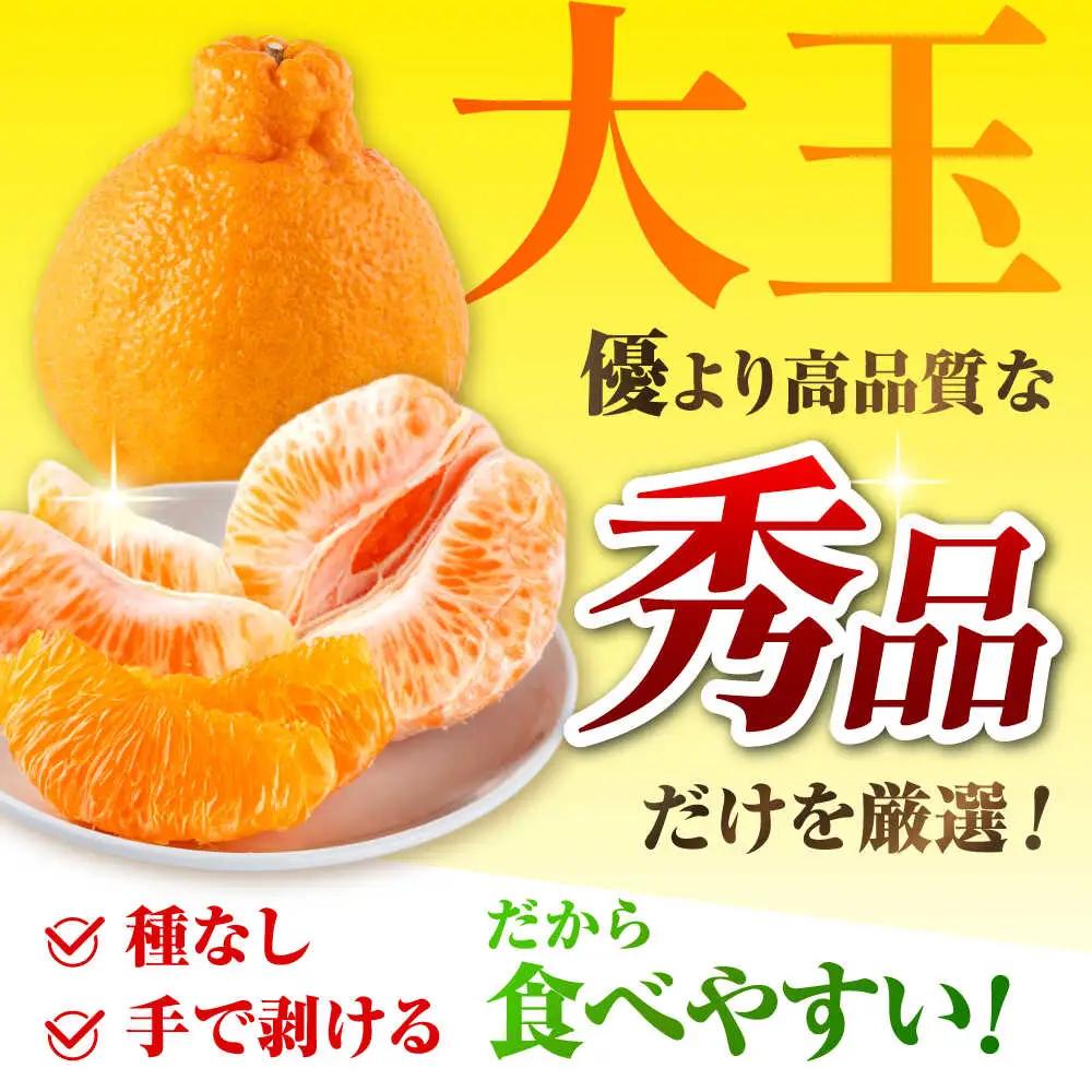 先行予約 ハウス栽培 不知火約3kg(7~12玉) 不知火みかんデコポンと同品種ZBN003