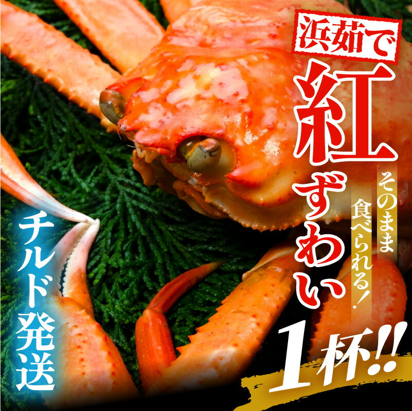 【ふるさと納税】 [冷蔵便] ≪浜茹で≫ 越前産 紅ずわいがに × 1杯 産直！驚き1杯4000円！その場で「湯がいて」その場で「送る！」産地直送品！楽天限定！蟹 【発送月をお選びいただけます！】【紅ズワイガニ 姿 ボイル 冷蔵 福井県】 [e22-x001]
