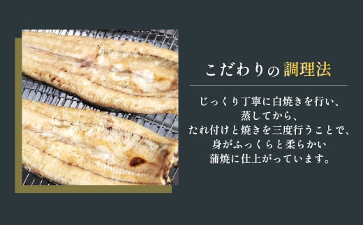 武州うなぎ 国産うなぎ蒲焼 2尾 大サイズ 冷凍真空パック（約300g）【埼玉県 東松山市 母の日 鰻 父の日ウナギ 誕生日プレゼント 鰻の蒲焼き 特選品 美味しいお取り寄せ 贈り物 グルメ 旬 おす
