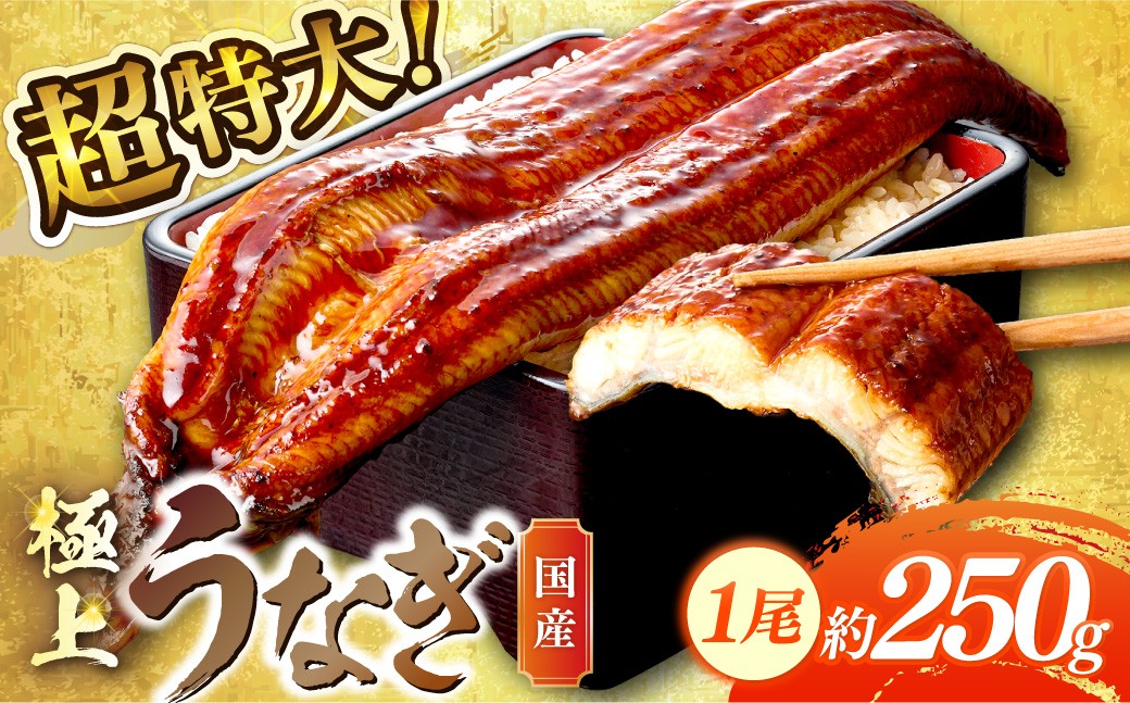 
                  超特大！極上！国産うなぎ蒲焼 1尾 250g前後 ＜鰻の蒲焼き ウナギのかば焼き 超特大かばやき 肉厚カバヤキ スタミナ 土用の丑の日 小分け＞　YK00400・YK00400_01・YK00400_02
                