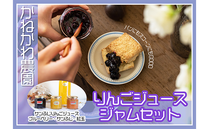 りんごジュース ジャム セット りんご 紅玉 サンふじ ブルーベリー リンゴ 長野 加工品 飲料類 果汁飲料 フルーツ 果物 