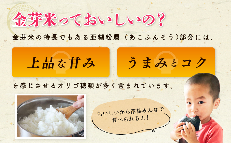 金芽米 9kg(無洗米) 【4.5kg×2袋 ご飯 ごはん お米 精米 金芽米計量カップ付】 030D242