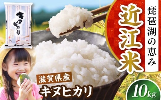 【令和7年産新米】キヌヒカリ 10kg 白米 滋賀県長浜市/株式会社コメック [AQDH004] 米 お米 白米 10kg きぬひかり 滋賀県産 長浜市産 こめ 精米 お米 新米 食品 国産 米ギフト ブランド米 食卓 美味しい 冷めても美味しい 人気 お弁当 和食 琵琶湖の恵み ご飯のお供 夜ごはん 昼ごはん 朝ごはん 上品な 甘み あっさり カレー 丼 丼もの