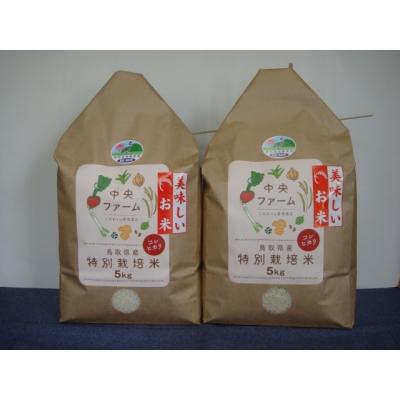 ふるさと納税 鳥取市 【先行予約】鳥取県産特別栽培米こしひかり(10kg)【令和8年9月上旬稲刈り後出荷】