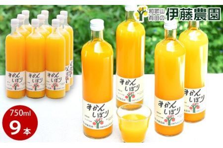 伊藤農園 100%ピュアみかんジュース大瓶750ml×9本セット(B636-2)