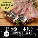 【ふるさと納税】【一本釣り 匠の漁】天然三崎アジ一夜干しセット 5枚＜海鮮 魚 愛媛 伊方＞