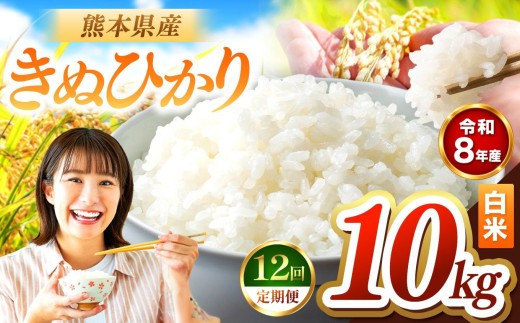 【定期便12回】R8年産 白米 きぬひかり 10kg | お米 米 こめ おこめ 精米 キヌヒカリ 10キロ 国産 国産米 くまもと 熊本 熊本県 玉名市 玉名