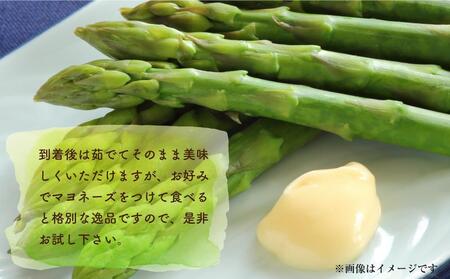 【先行予約】朝採り グリーンアスパラ 2L～3L 700g (2025年5月下旬発送予定) | アスパラ　アスパラ　アスパラ　アスパラ　アスパラ _03900