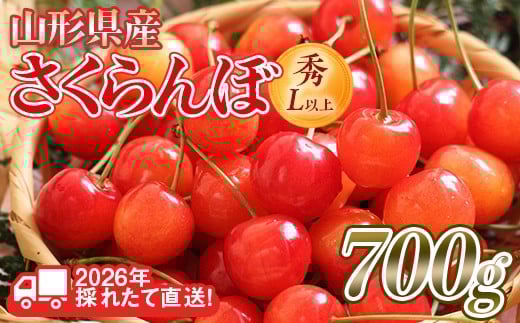 FYN6-255 ≪2026年先行予約≫山形県産 さくらんぼ 品種おまかせ(佐藤錦・紅秀峰など) 700g(350g×2) 秀/L以上 バラパック詰め 2026年6月中旬頃より発送 果物 くだもの フルーツ 夏果実 サクランボ チェリー 桜桃 高級 化粧箱 ギフト箱 贈り物 贈答 ギフト プレゼント 自宅 家庭 産地直送 山形県 西川町 月山
