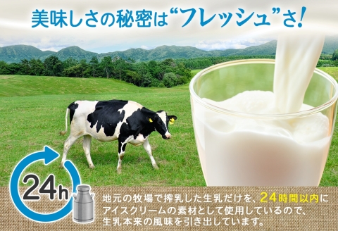 1506. 無地熨斗 くりーむ童話 アイスクリーム ジェラート 詰め合わせ 食べ比べ 15個 アイス Bセット カップ 贈り物 ギフト プレゼント のし 名入れ不可 18000円 北海道 弟子屈町