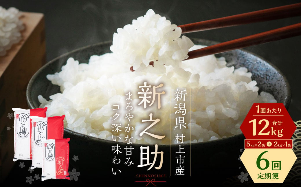 【令和5年産米】【定期便：6ヶ月連続でお届け】 村上市産 新之助 72kg （12kg×6ヶ月）コース