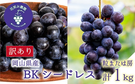 
            岡山　花笑み農園のブドウ『訳ありBKシードレス』1kg　WB-1＜9月中旬～順次発送＞【1650782】
          