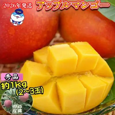 2026年発送　道の駅許田の秀品アップルマンゴー　約1kg 完熟 マンゴー アップル 南国 沖縄 フルーツ くだもの 果物 果実 先行予約 産地直送 贅沢 濃厚 スイーツ デザート 旬の果物 贈り物 ギフト プレゼント 贈答用