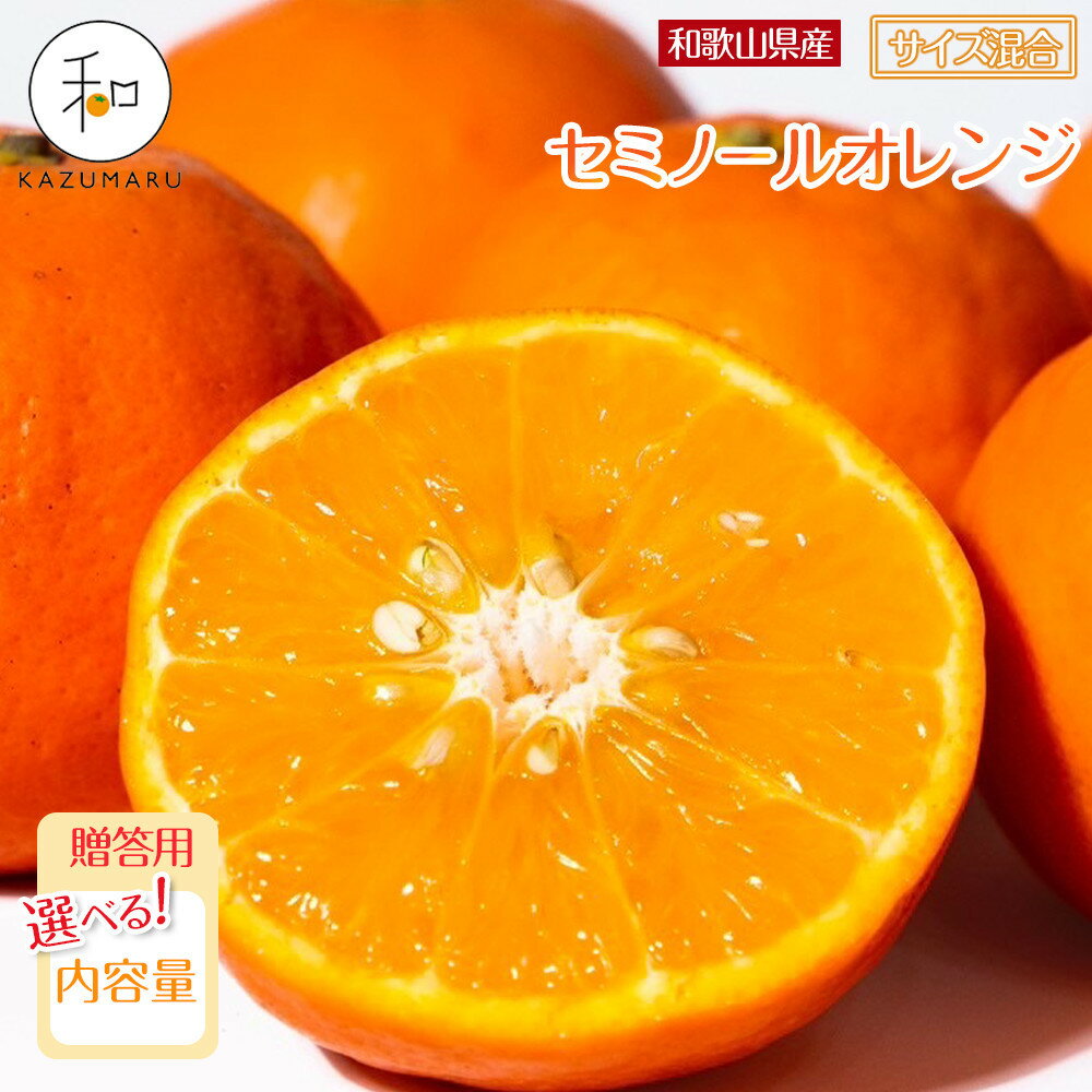 【ふるさと納税】【選べる容量】贈答用 森本農園の手選別 厳選セミノールオレンジ 約2～10kg 和歌山県産 サイズ混合 ［北海道・沖縄・離島配送不可］［2026年4月中旬から順次発送］ | みかん 蜜柑 フルーツ 果物 くだもの 食品 人気 おすすめ 送料無料