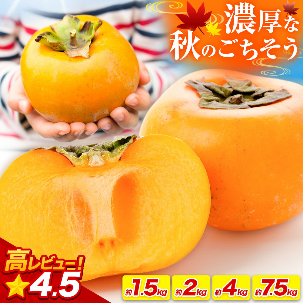 【ふるさと納税】お試し規格登場!! 濃厚な秋のごちそう たねなし柿 約1.5kg 〜 7.5kg 《2026年9月中旬-11月上旬頃出荷(土日祝除く)》 和歌山県 紀の川市 種なし柿 産地直送 柿 果物 フルーツ 2L〜Mサイズ カキ (刀根早生柿/平核無柿）