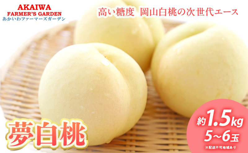 桃 2025年 先行予約 おかやま夢白桃 約1.5kg 5～6玉 もも 岡山県 赤磐市産 フルーツ 果物 あかいわファーマーズガーデン