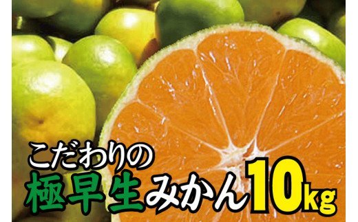 【2024年秋頃発送予約分】＼光センサー選別／【農家直送】こだわりの極早生みかん 約10kg 【数量限定】 有機質肥料100% サイズ混合 ※2024年9月下旬より順次発送予定（お届け日指定不可）【nuk135B】