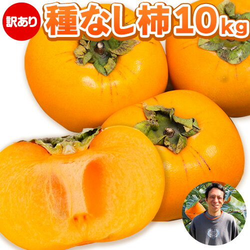 【ふるさと納税】【訳あり】まーくん家のたねなし柿 10kg 《2025年9月下旬-10月末頃出荷》 かき 種なし きただ農園まーくん家 和歌山県 紀の川市 ご家庭用