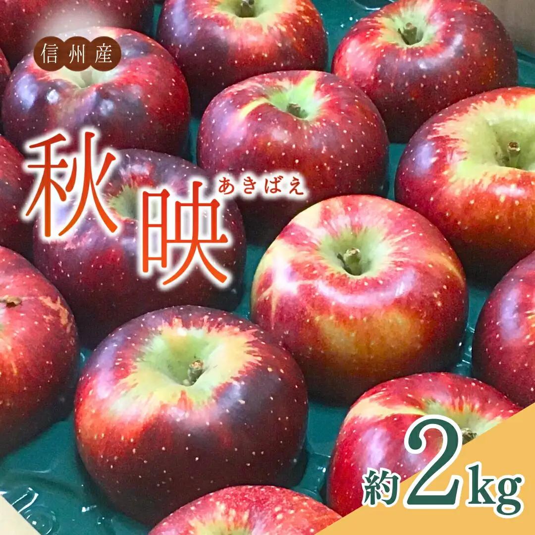 【2026年先行予約】太陽の恵みたっぷり りんご 秋映 2kg |秋映 りんご
