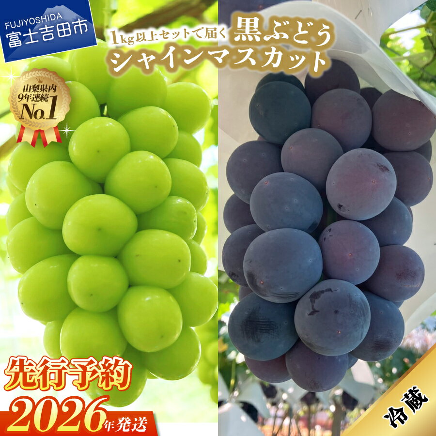 【ふるさと納税】 2026年 先行予約シャインマスカット 黒ぶどう 1kg以上 2種 食べ比べ セット 山梨県 富士吉田市 フルーツ 厳選 果物 産地直送 数量限定 シャイン マスカット ぶどう 詰め合わせ マツコの知らない世界 テレビで紹介 送料無料 ふるさと納税 ランキング